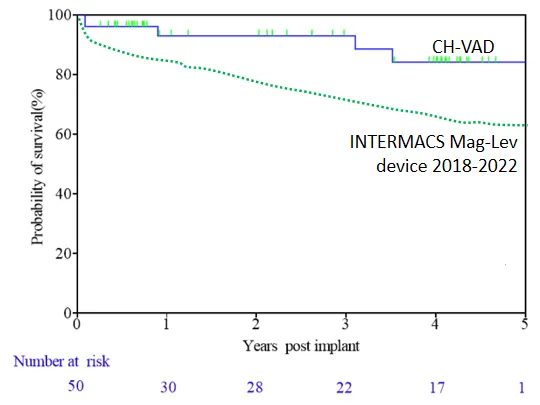 Patient survival during follow-up