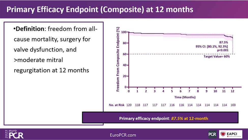 Primary Efficacy Endpoint(Composite) at 12 months