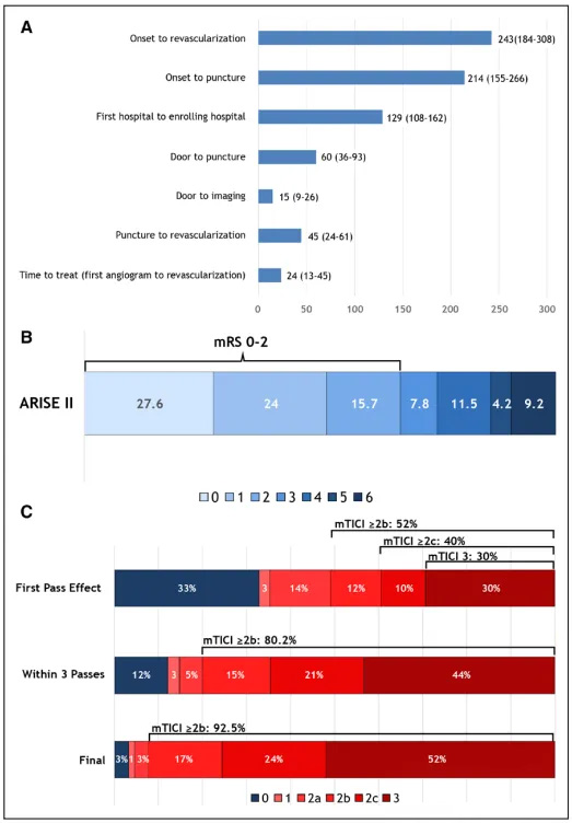 Primary Results of the Multicenter ARISE II Study (Analysis of Revascularization in Ischemic Stroke With EmboTrap