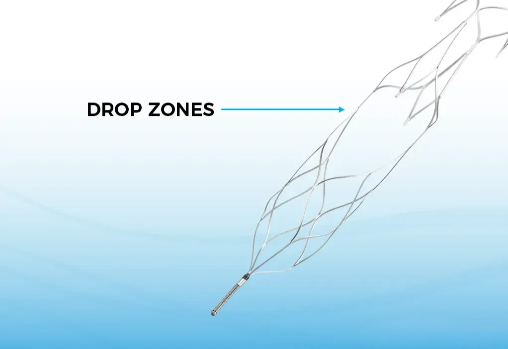 Drop Zones technology