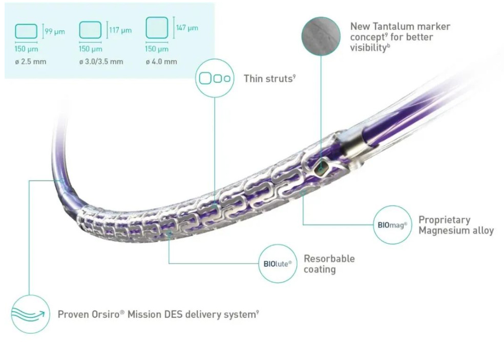  Freesolve™ Absorbable Magnesium Stent