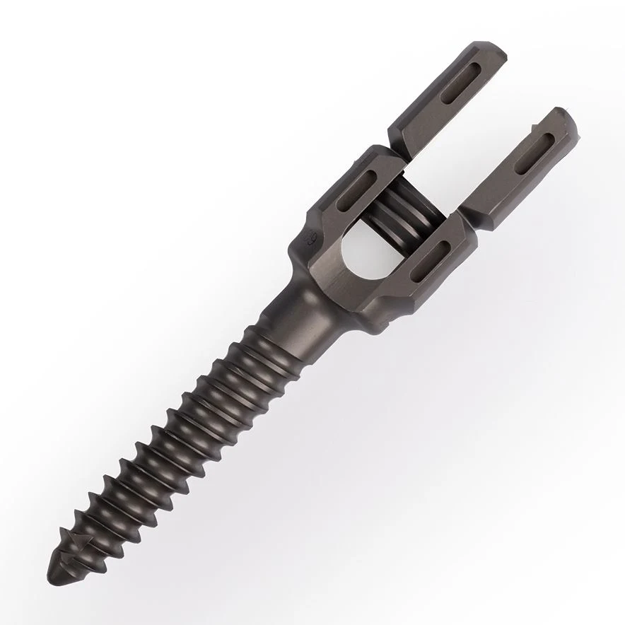 Titanium Spinal Nail Screws