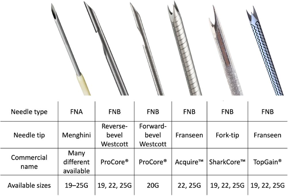 FNA Needle and FNB Needles