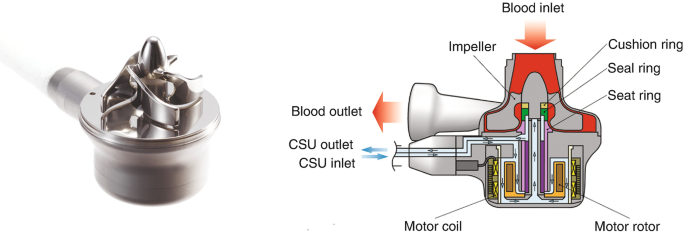 Pump Impellers for continuous blood flow