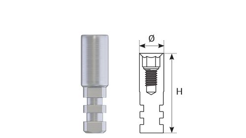  Implant-level Analogues